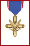 Bronze Star with "V" Device